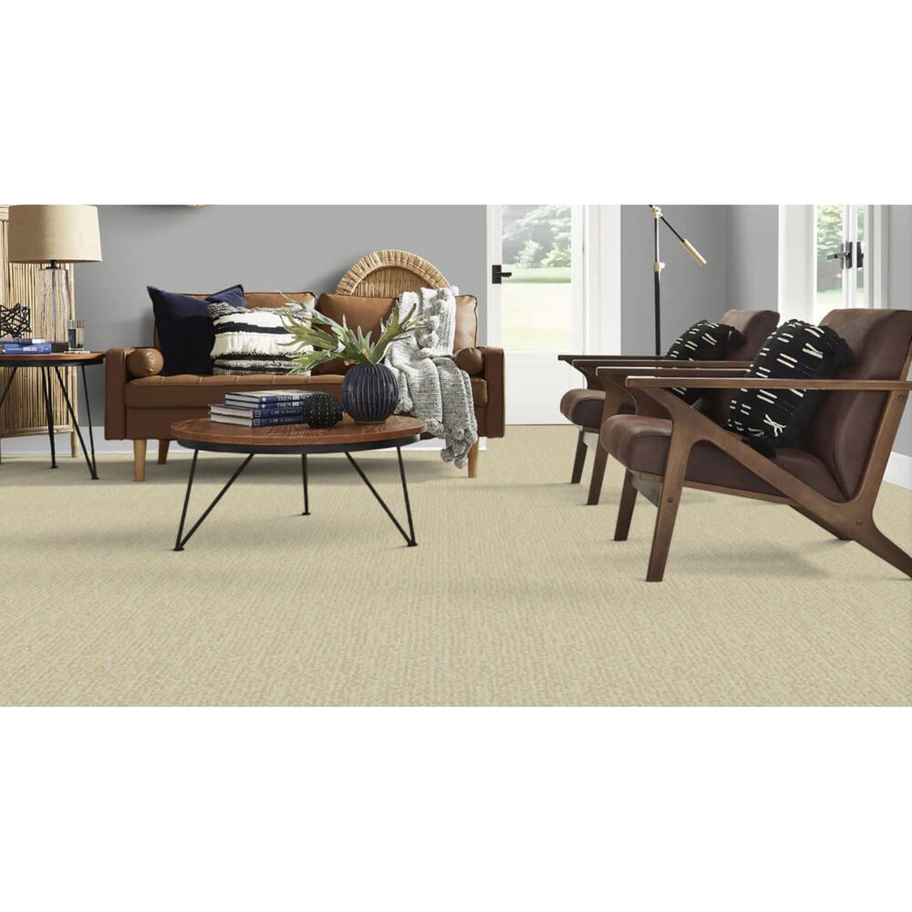 Masland Mesa Verde Carpet in Lancaster, , large