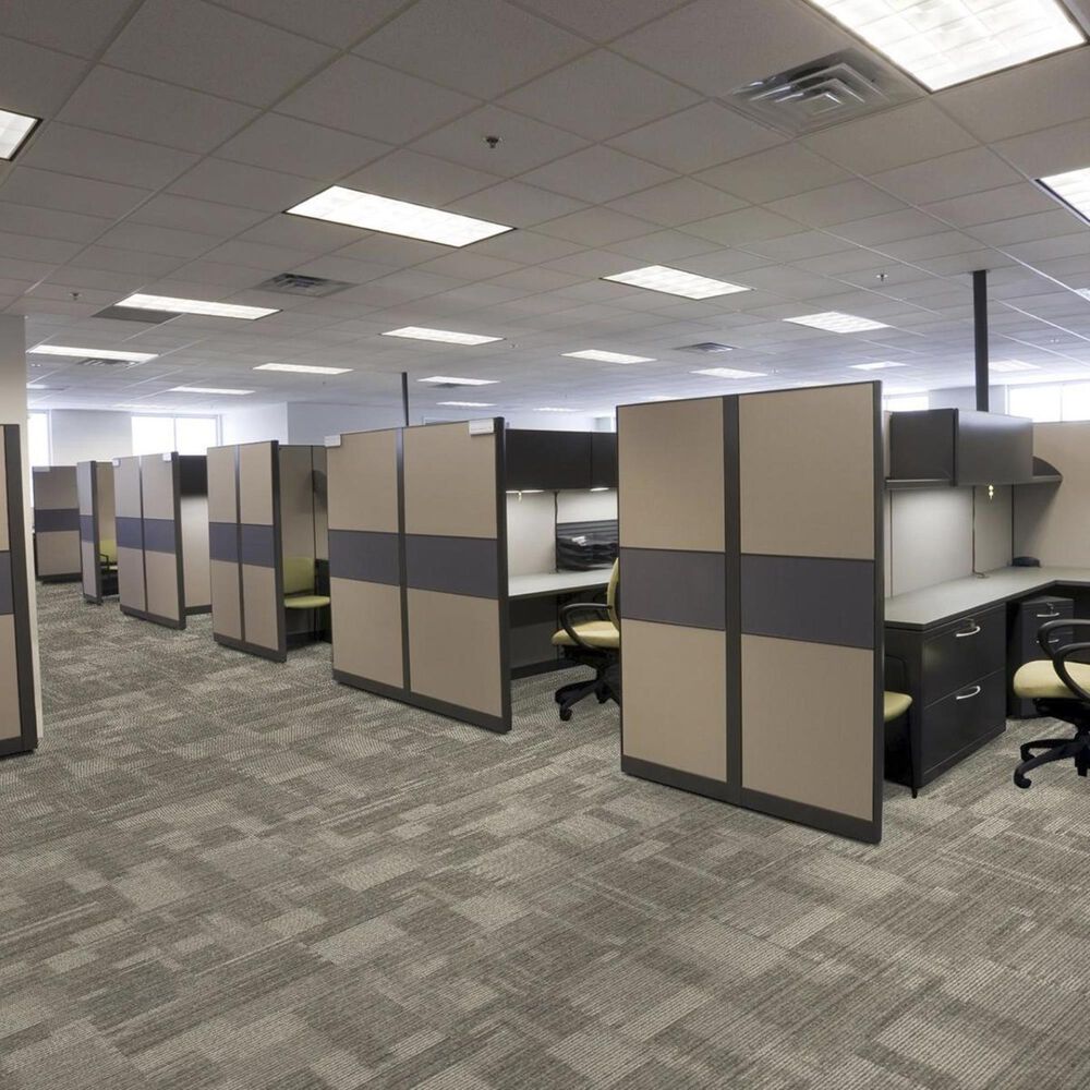 Shaw Pure Attitude 18&quot; x 36&quot; Carpet Tile in Savvy, , large