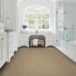 Karastan Stippled Carpet in Carolina, , large