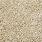 Shaw Foundations Take The Floor Texture II Carpet in Hazelnut, , large