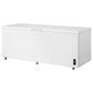 Frigidaire 24.8  Cu. Ft. FFCL2542AW Chest Freezer in White, , large