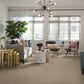Shaw Find Your Comfort TT I Carpet in Dinner with Friends, , large