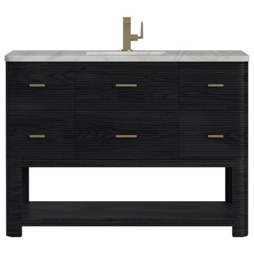 James Martin Vanities Lucian 48" Single Bathroom Vanity in Carbon Oak with 3 cm Victorian Silver Quartz Top, Rectangular Sink and FreePower Wireless Charger, , large