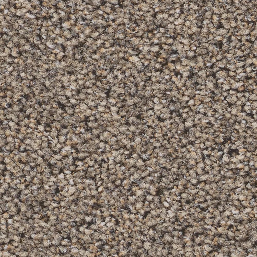 Shaw Wonderland I Carpet in Slate, , large