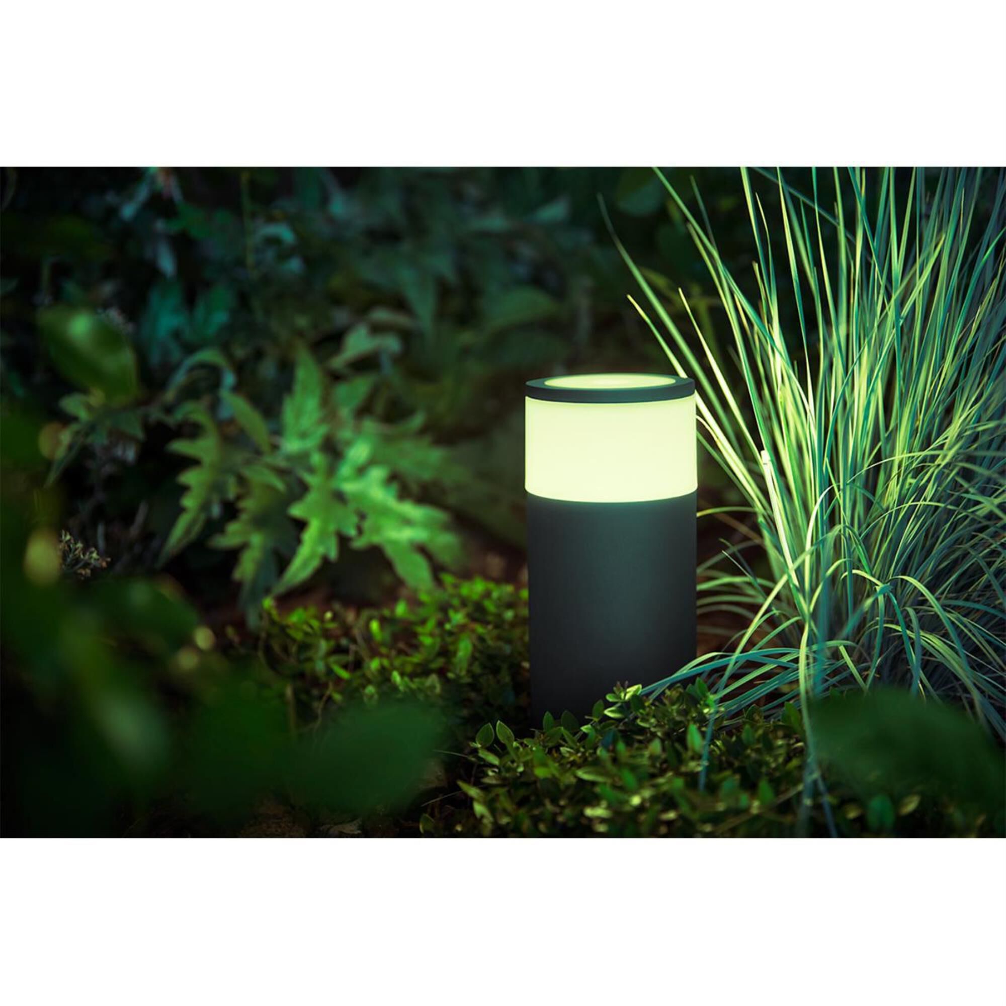 Hue calla extension on sale