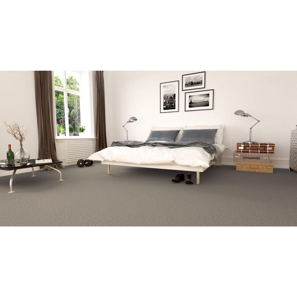 Revolution Mills Rainier Carpet in Tacoma, , large