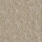 Shaw Clever Choice Carpet in Twine, , large