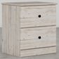 Lemoore Essentials 2-Drawer Nightstand in Frosted Pine, , large