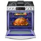 LG 6.3 Cu. Ft. Convection InstaView Dual Fuel Slide-In Range in Print Proof Stainless Steel, , large