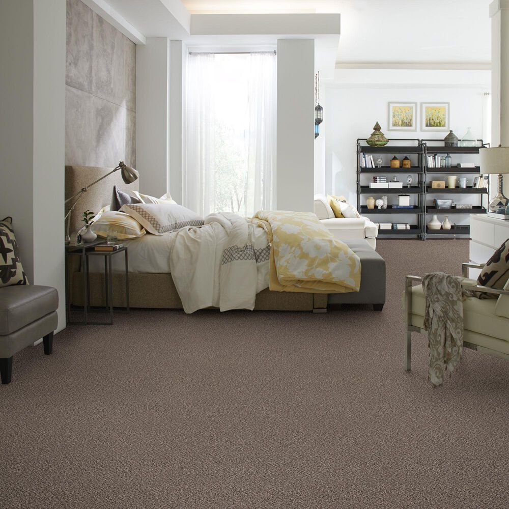 Philadelphia Mixed Essentials Carpet in Burro Brown, , large