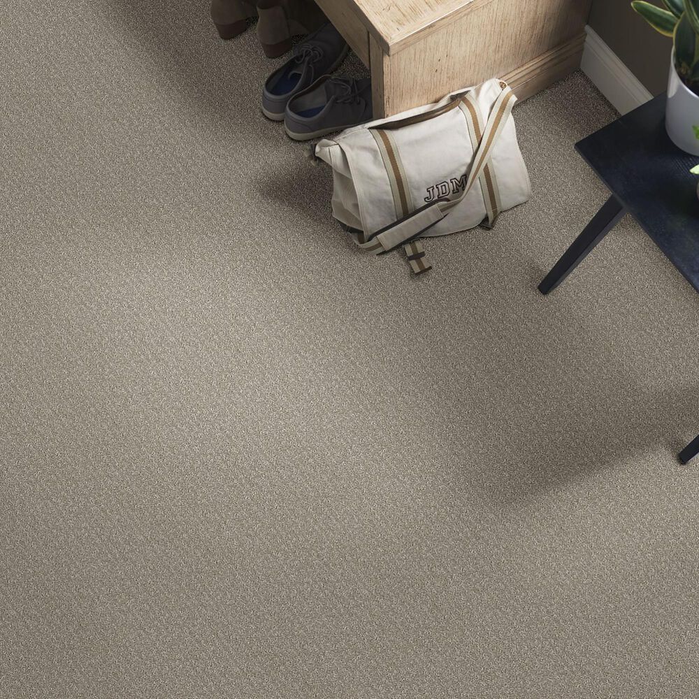 Shaw Simply the Best Transform Carpet in Fossil, , large