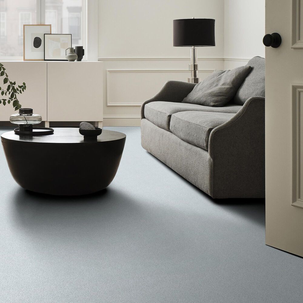 Shaw Tonal Comfort Ii Carpet in Bay Waves, , large