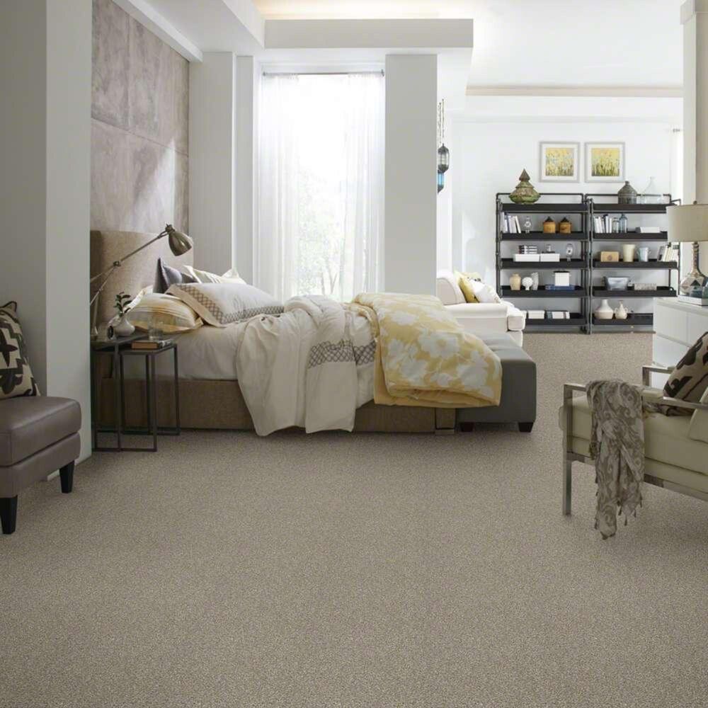 Shaw Points of Color I Carpet in Oatmeal NFM