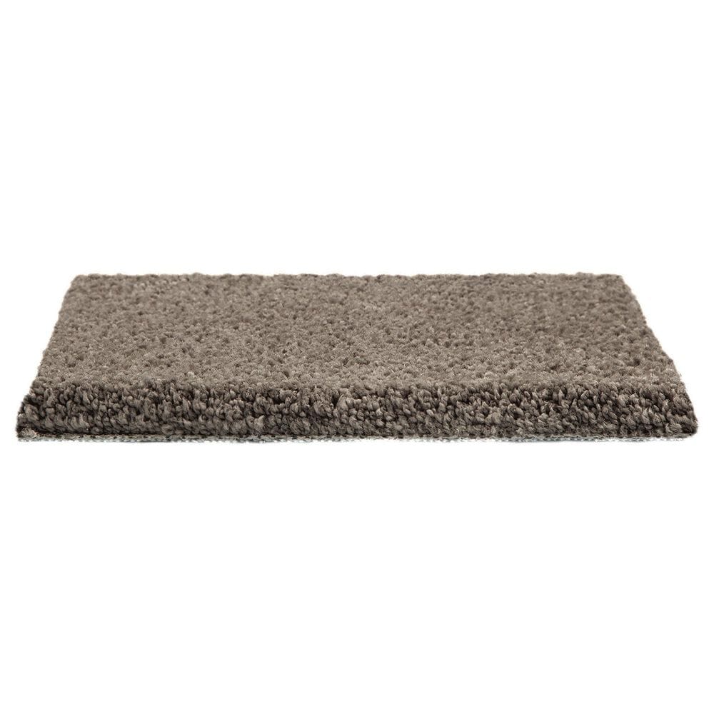 Mohawk Pleasant Touch Carpet in Steeplechase, , large