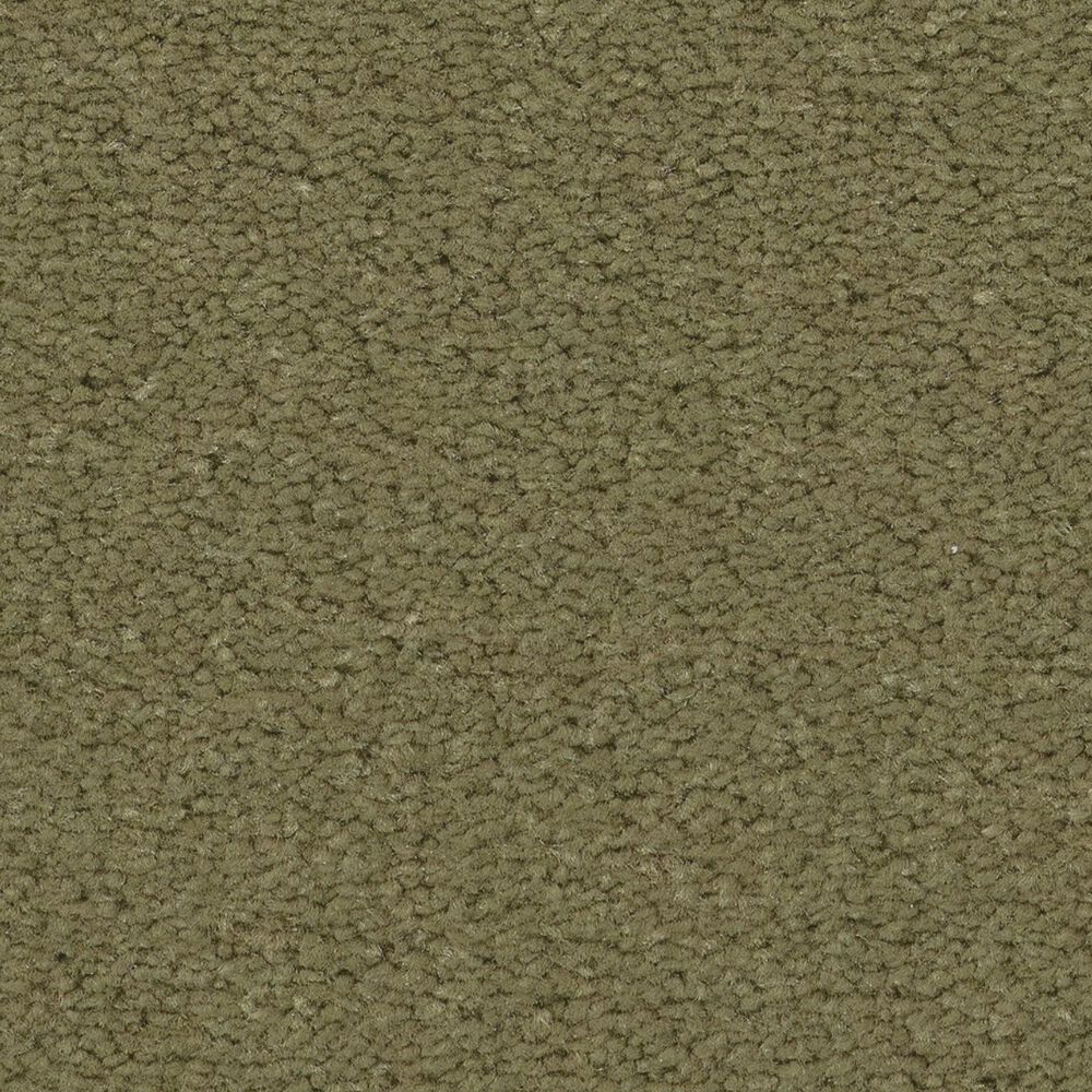 Anderson Tuftex Finery Carpet in Tate Olive, , large