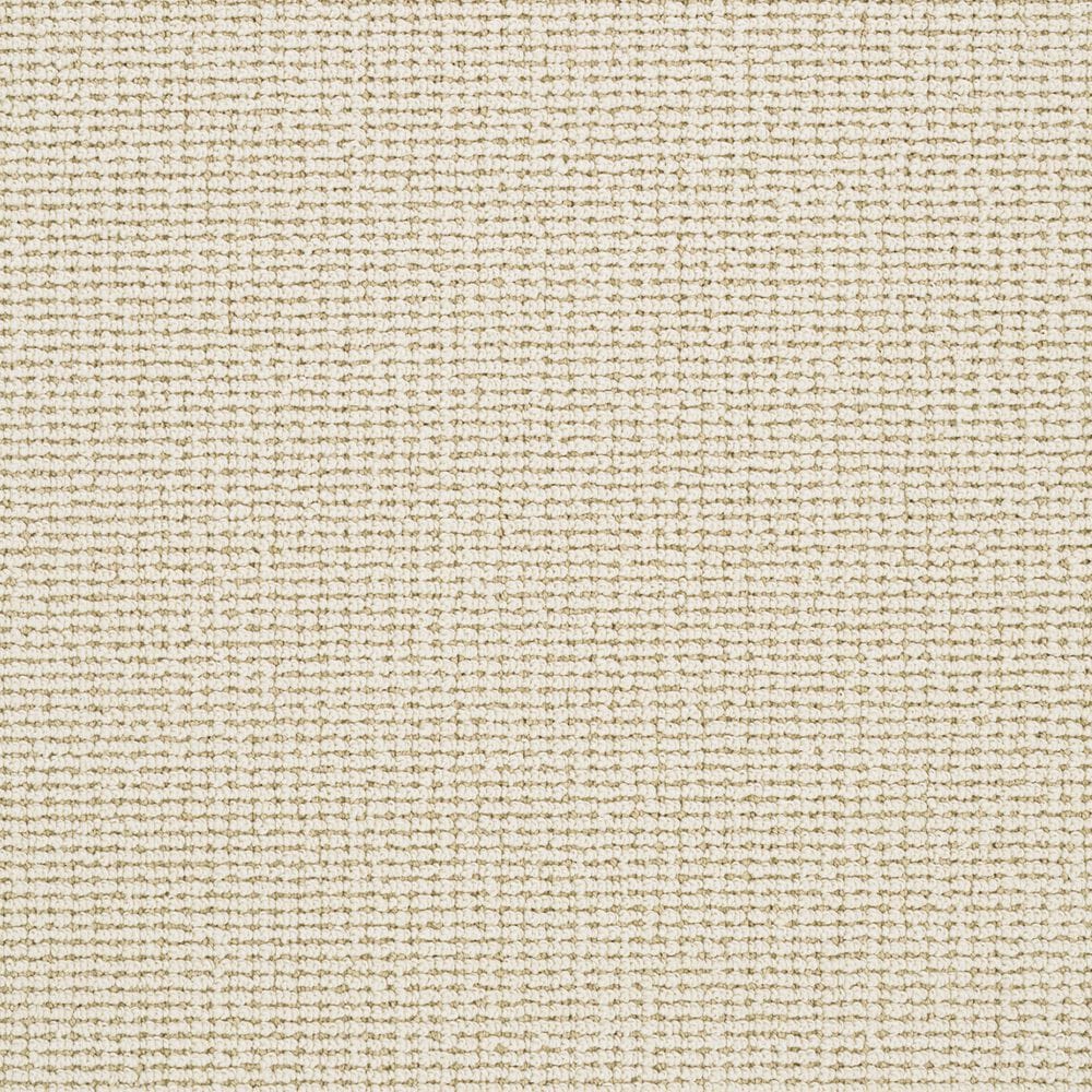 Dixie Home Pleasant Valley Carpet in Nest, , large