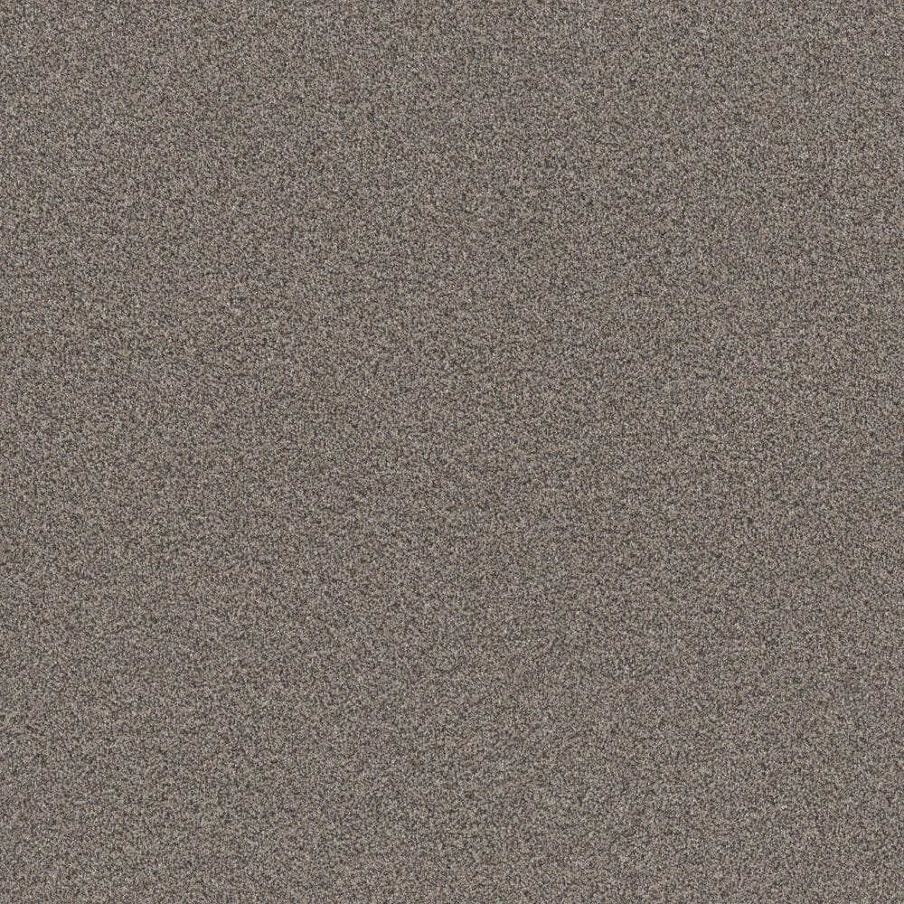 Shaw Influencer Carpet in Fossil Path, , large