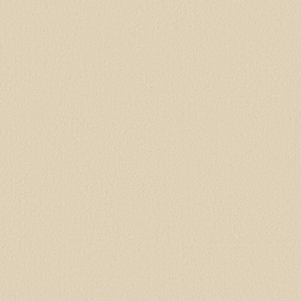 Anderson Tuftex Finery Carpet in Swiss Alps, , large