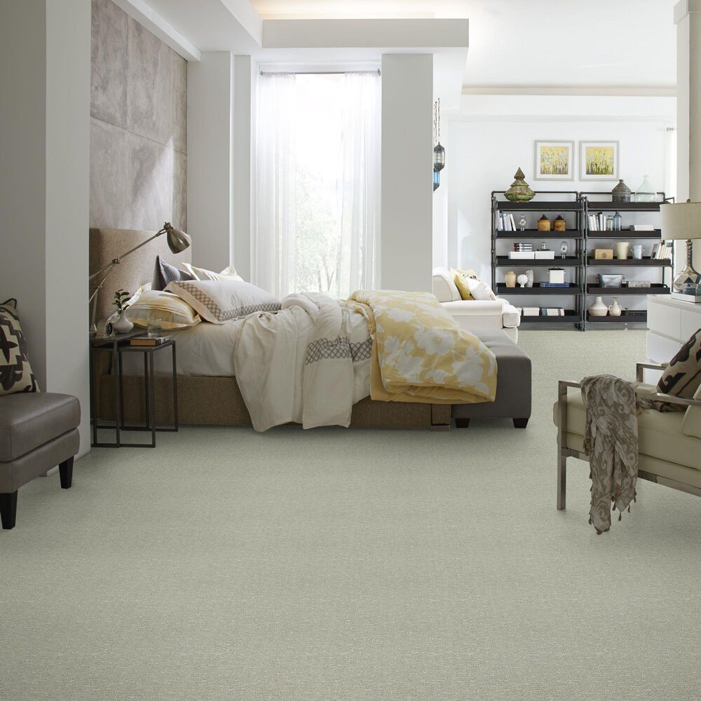 Anderson Tuftex Contour Carpet in Rain Dance, , large