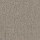 Phenix Verona Carpet in Amphitheater, , large
