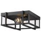 Golden Lighting Tribeca Outdoor Flush Mount in Natural Black with Clear Glass, , large