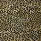 Dalyn Rug Company Mali ML2 6" x 9" Gold Indoor/Outdoor Area Rug, , large