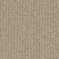 Phenix Cabana Carpet in Popsicle, , large