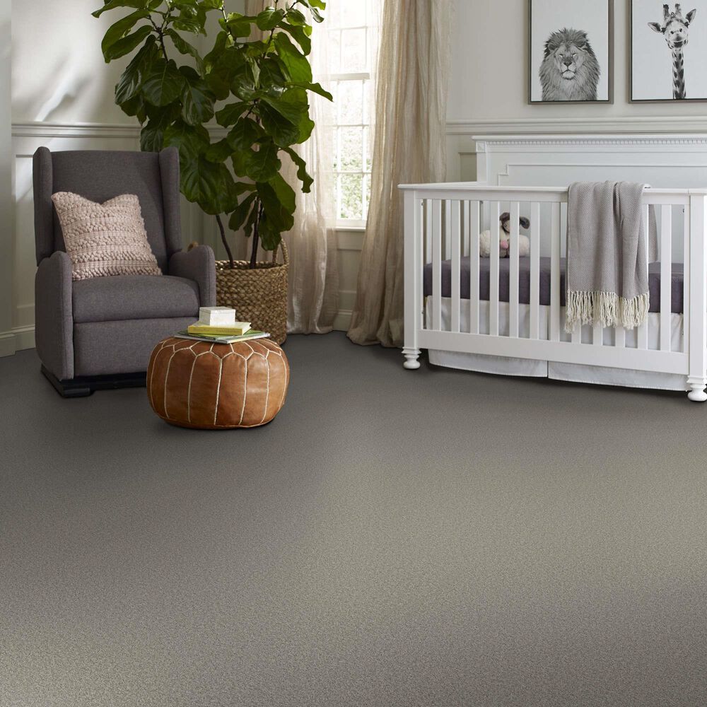 Shaw Tonal Comfort II Carpet in Back Patio, , large