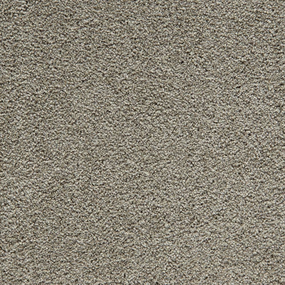 Mohawk Gentle Guardian lV Carpet in Shadow, , large