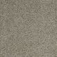 Mohawk Gentle Guardian lV Carpet in Shadow, , large