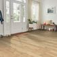 Hartco Prime Harvest Natural Medium Gloss Maple 5" Solid Hardwood, , large