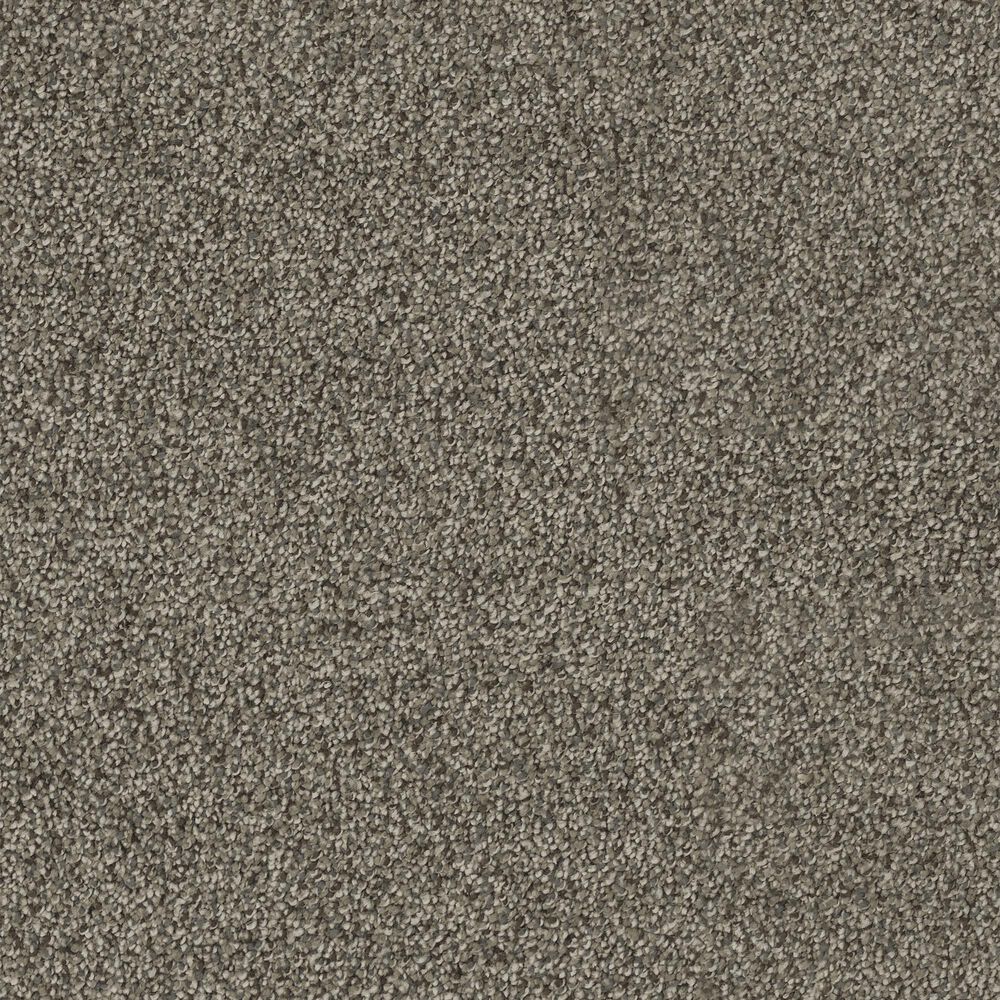 Dream Weaver Hollywood Carpet in Smoky Quartz, , large
