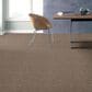 Shaw Simply the Best Cabana Life Carpet in Mesa, , large