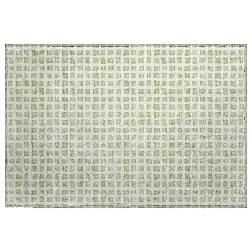 Dalyn Rug Company The Reserve TR4 Aloe 2"6" x 3"10" Indoor/Outdoor Area Rug, , large