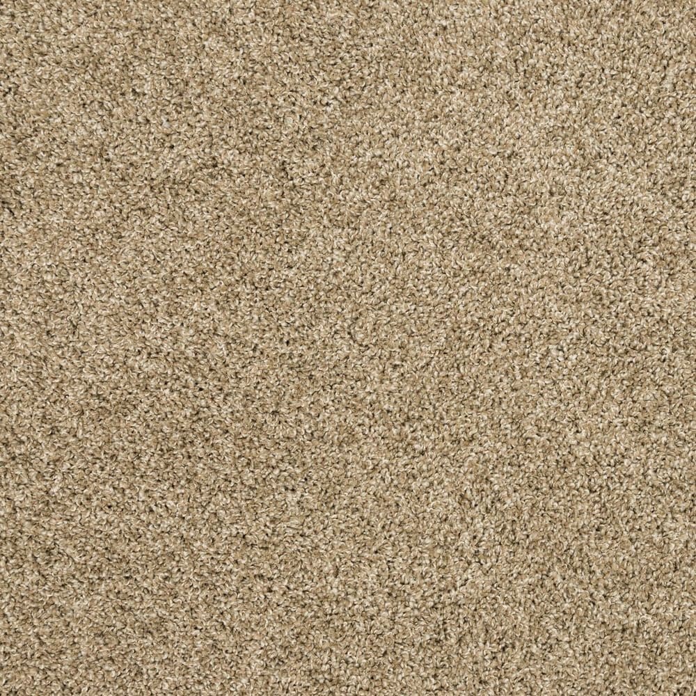 Mohawk Refined Retrievers II Carpet Harmony, , large