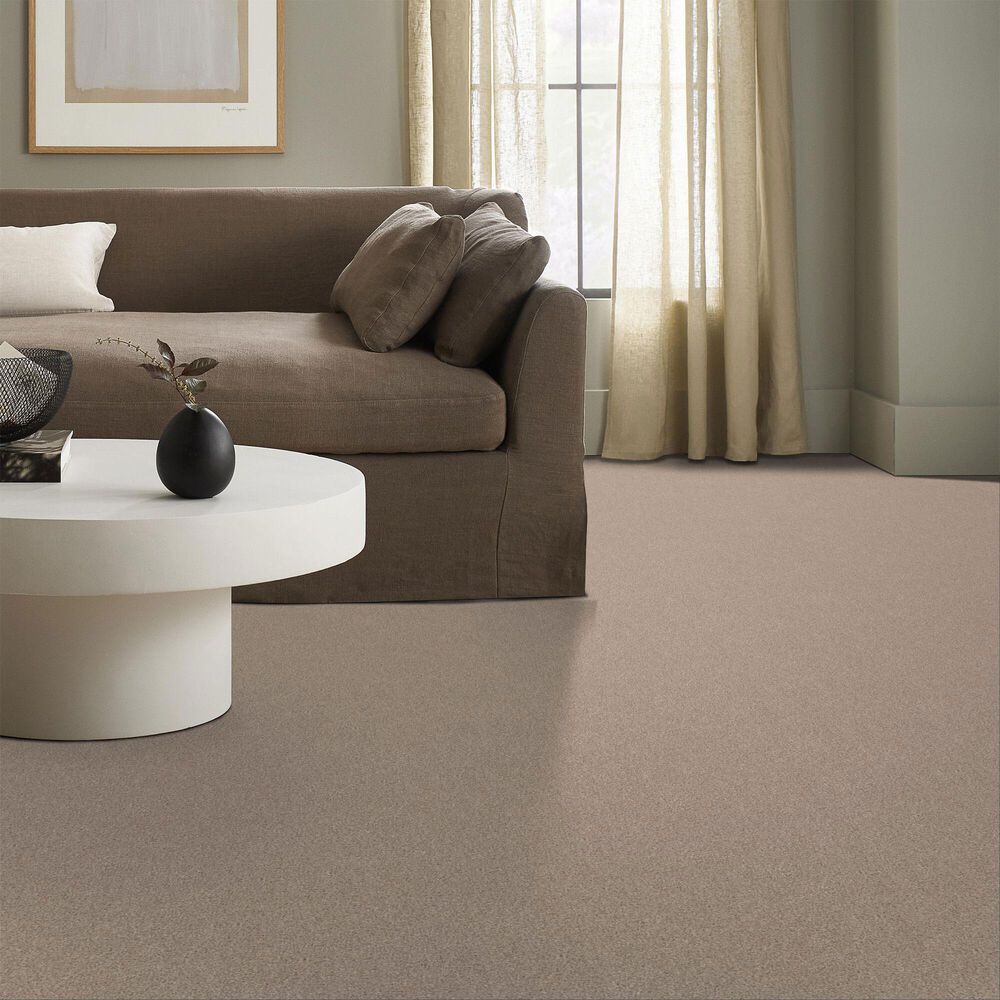 Shaw Live On Comfort Carpet in Palm Desert, , large