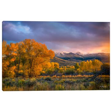 Rocky Mountain Publishing Dreams of Autumn 16" x 23" Stretched Canvas in Multicolor, , large
