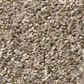 Shaw Cabana Bay (B) Carpet in Mesa, , large