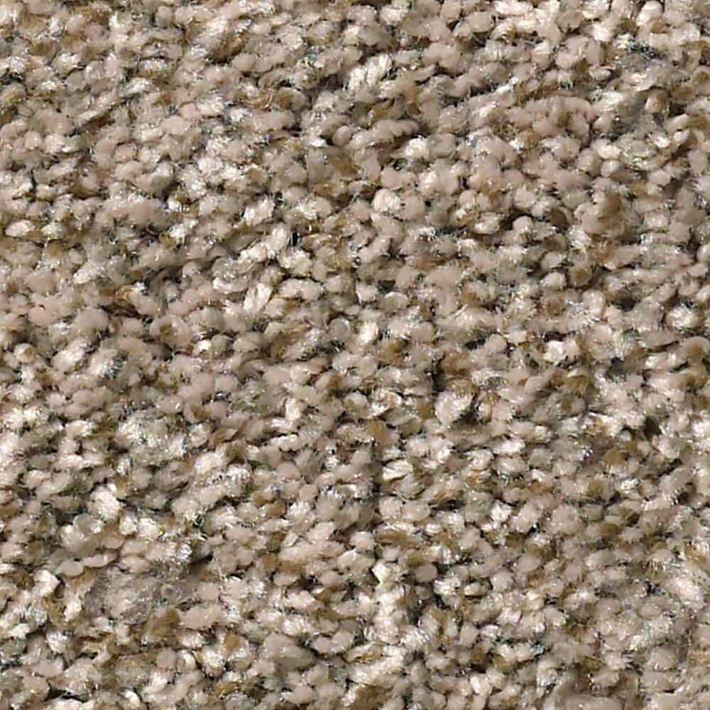 Shaw Cabana Bay (B) Carpet in Mesa, , large