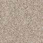 Shaw Harmonious III Carpet in Sandstone, , large