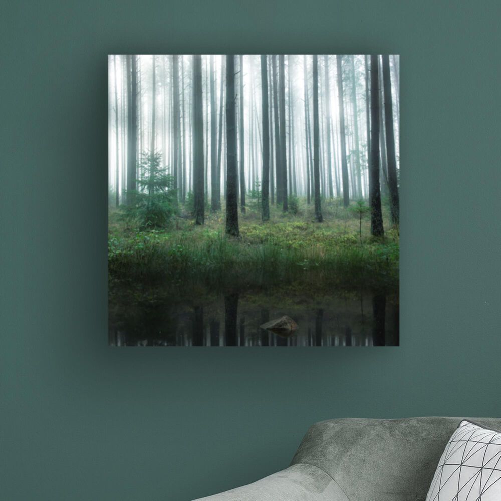 Timberlake Christian Lindsten &#39;Lake In Forest&#39; 24&quot; x 24&quot; Canvas Art, , large