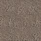 Shaw West Haven Carpet in Shitake, , large