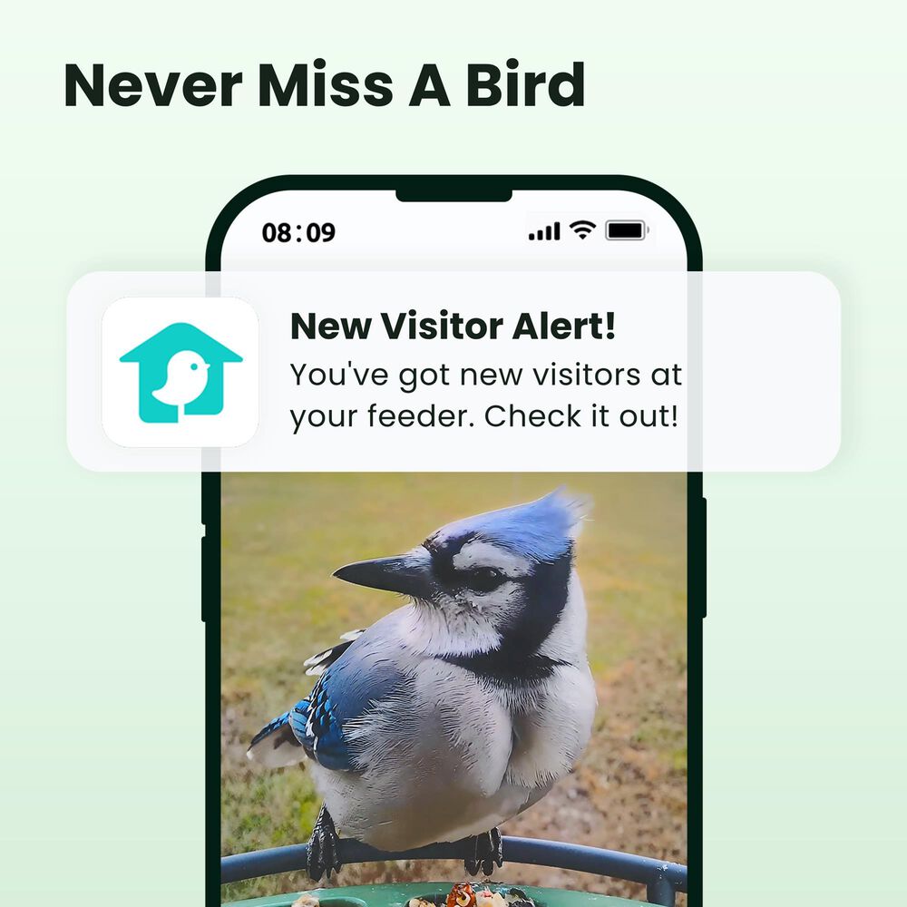 Birdfy Bird Feeder 2 with Smart Camera and Solar Panel in Green, , large