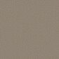 Shaw Tweed Comfort II Carpet in Outer Banks, , large