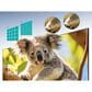 Hisense 50" Class QD6 Series QLED 4K UHD in Black - Smart Vidaa TV, , large