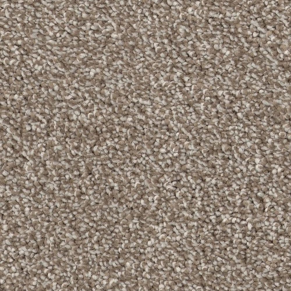 Philadelphia Delicate Feel I Carpet in Mocha, , large