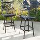 Noble House Santa Maria Patio Barstool in Bronze (Set of 2), , large