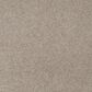 Mohawk Quality Feeling Carpet in Clam Island, , large