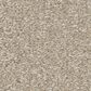 Shaw Way To Go I Carpet in Adobe Sand, , large