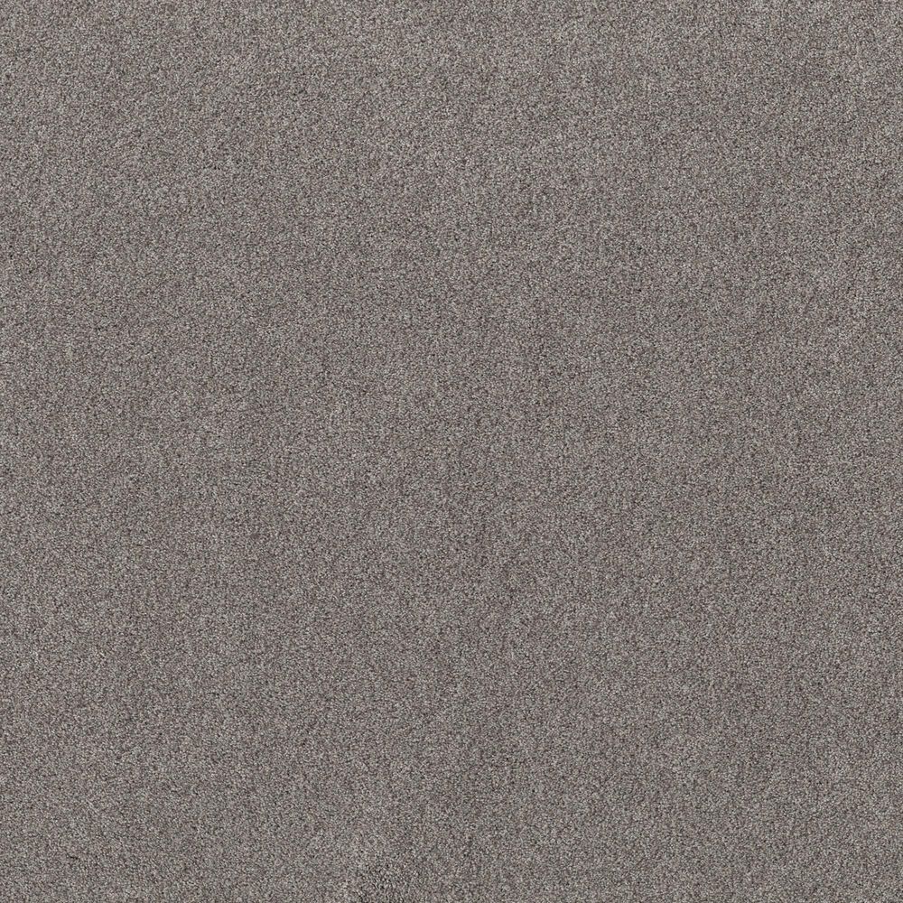 Shaw Live on Comfort Carpet in Century Taupe, , large